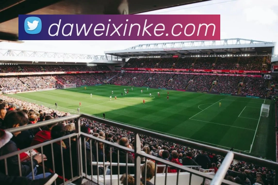 678体育发展历程