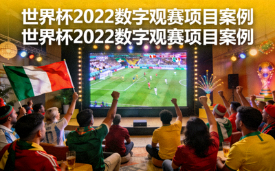 世界杯2022数字观赛项目案例封面 - 众多球迷在屏幕前观看世界杯比赛的场景