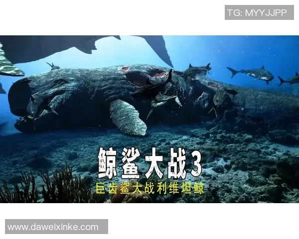 奥兰斯与布雷斯激战正酣谁能在这场对决中笑到最后